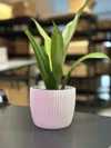 0.2mm layer, 2 walls, 10% infill