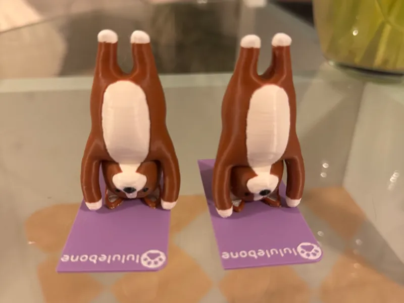 Yogi Corgis - Headstand