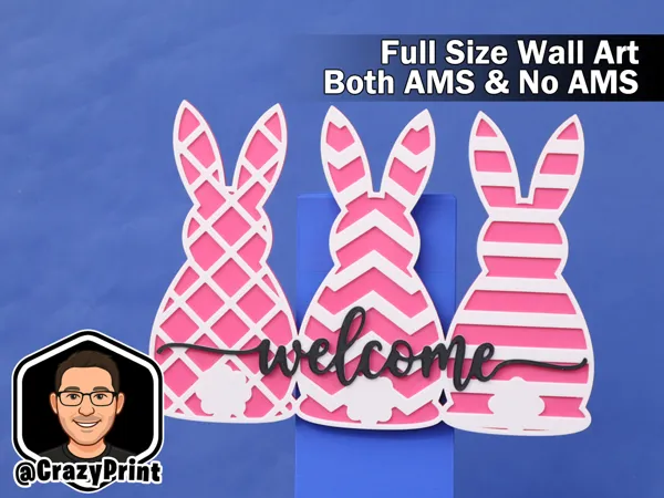 https://makerworld.bblmw.com/makerworld/model/USdcae335c46ffac/design/7aa2c2fe01d478e1.jpg