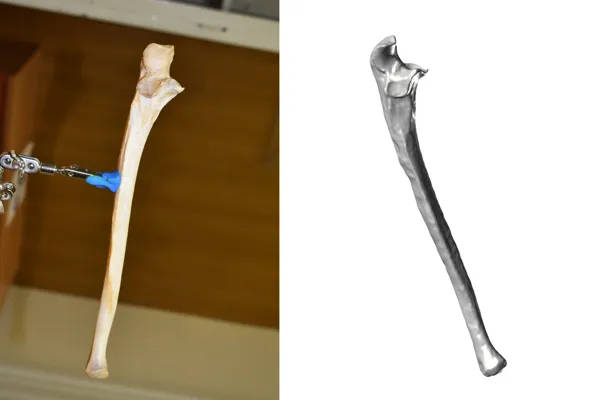 https://makerworld.bblmw.com/makerworld/model/USdcbc5036e2ed25/design/2023-12-30_xu0j8fx4u7a4.jpg