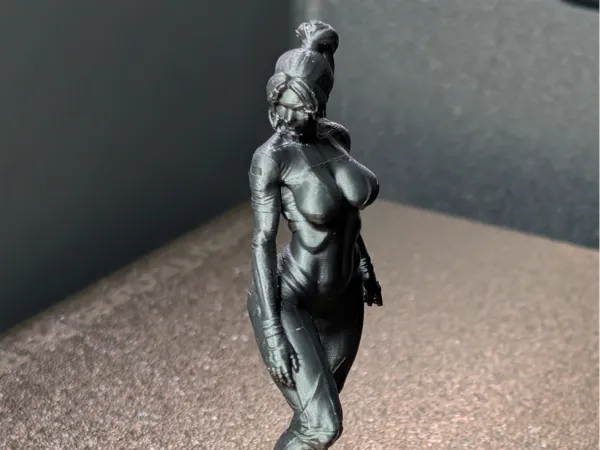 https://makerworld.bblmw.com/makerworld/model/USdcbefec710e8df/design/2cd489175693d42e.jpg