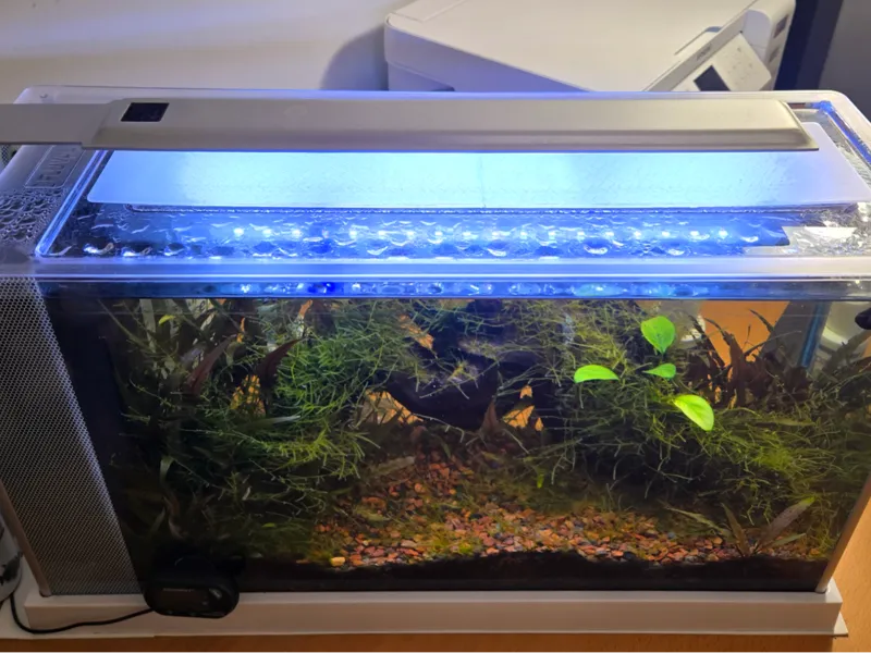 Fluval Spec V Aquarium Lid