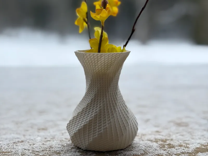 Amazing Vase