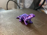Varan miniature — photo 2