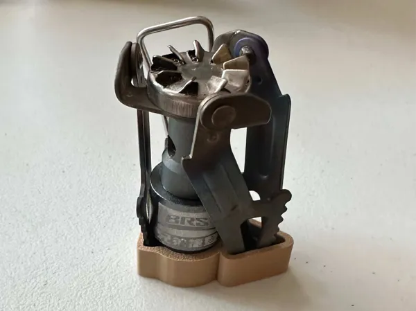 https://makerworld.bblmw.com/makerworld/model/USdcd93bfc8f37da/design/2026-01-20_e4754c69d79b1.jpg