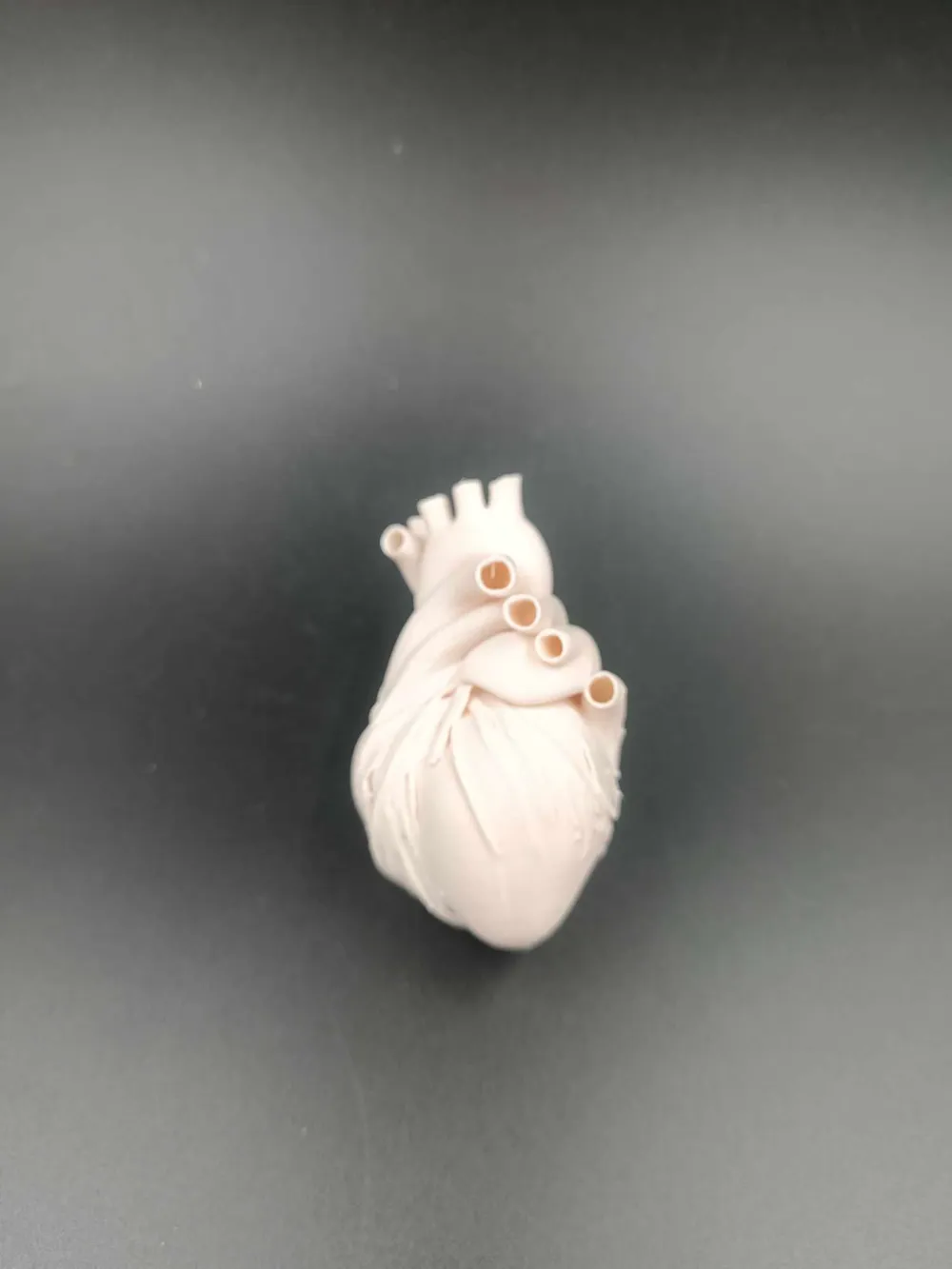 Realistic 3D Heart Model – A Unique & Stunning - Free 3D Print Model ...