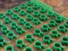 LeafGuide – Optimized Batch Print