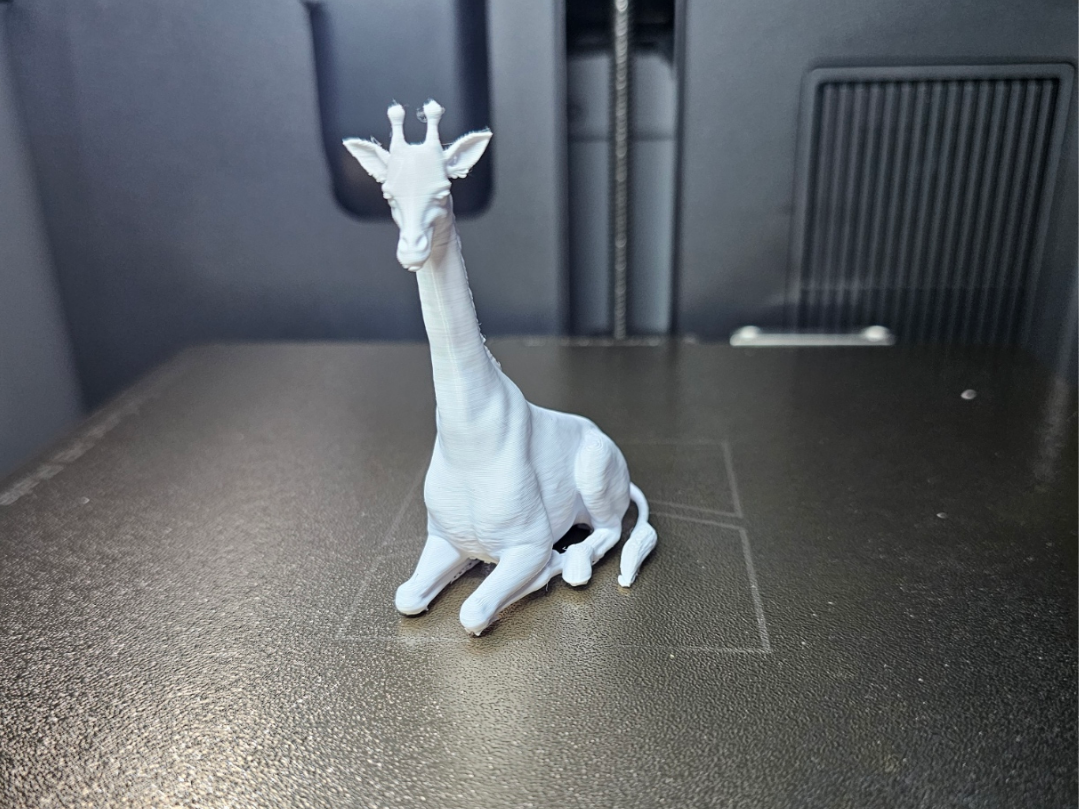 Giraffe sitzend - Tiere aus aller Welt