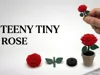 Teeny Tiny Rose