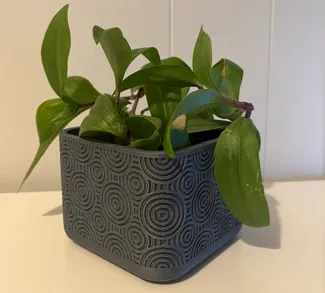PLANTER