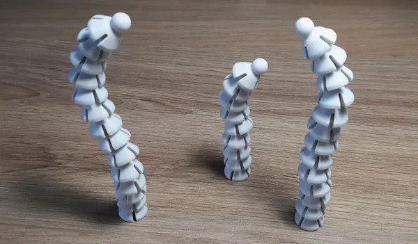 https://makerworld.bblmw.com/makerworld/model/USdcf06968d13e2/design/2024-10-06_42d48a7228203.jpg