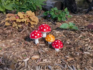 Mushroom container for rabbit/deer repellent balls