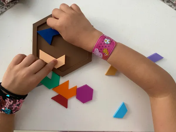 https://makerworld.bblmw.com/makerworld/model/USdcf31028569af3/design/2024-09-03_f013ec20fd21f.jpg