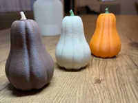 Fuzzy Skin Pear Pumpkin – Fall Decor