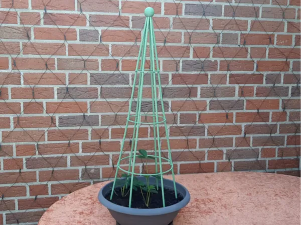 https://makerworld.bblmw.com/makerworld/model/USdcf52bdaa167c9/design/2025-03-10_973d9af09830d.png