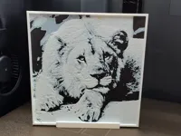0.08mm layer, 2 walls, 100% infill
