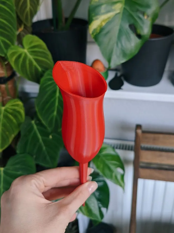 Self-watering pitcher plant view 4