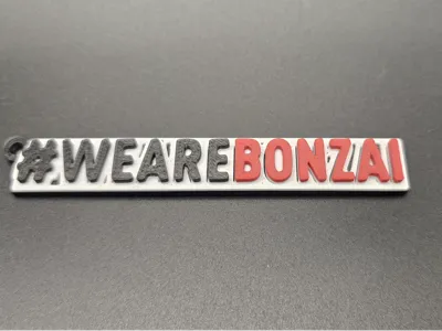 We are BONZAI keychain