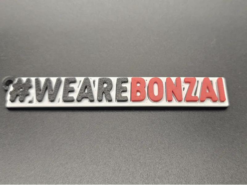 We are BONZAI keychain