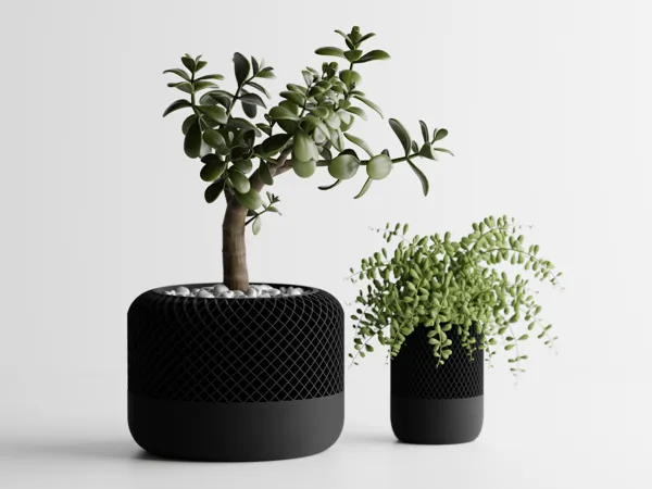 https://makerworld.bblmw.com/makerworld/model/USdd016072f24da4/design/2024-04-14_d86efdeddff48.png