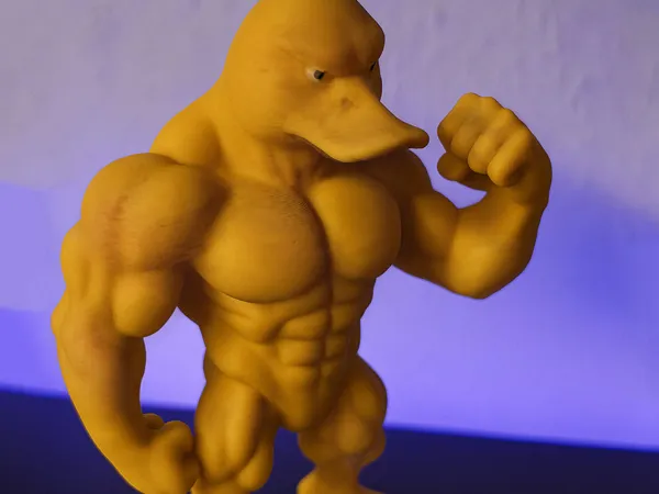 https://makerworld.bblmw.com/makerworld/model/USdd026e5f9fe331/design/2025-11-08_b17eee1c4d3e48.jpg