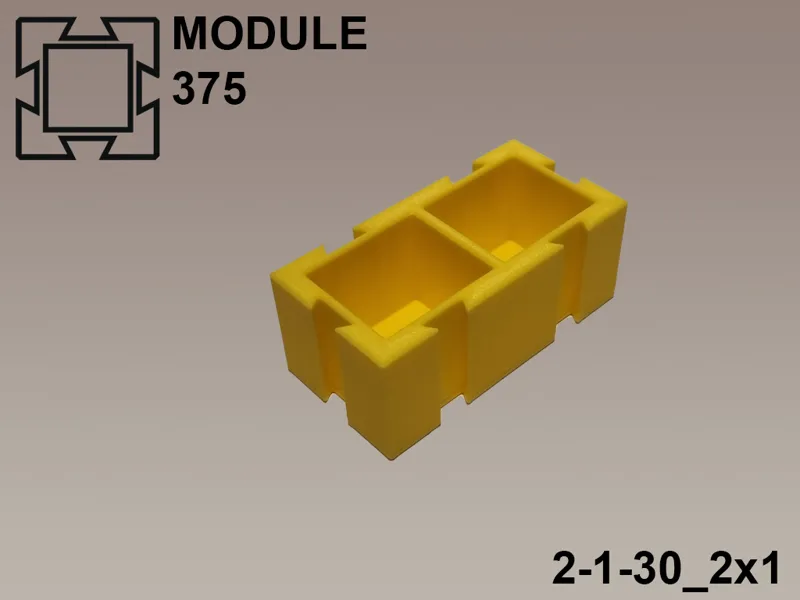 Module375 | 2-1-30_2x1