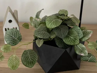 Flowerpot (big)