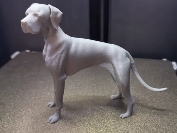 https://makerworld.bblmw.com/makerworld/model/USdd15bb75387b40/design/2025-02-15_b7837e7343f5a.jpg