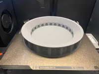 Colosseum Only