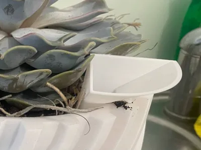 Deep Watering Spike for Potted Plants