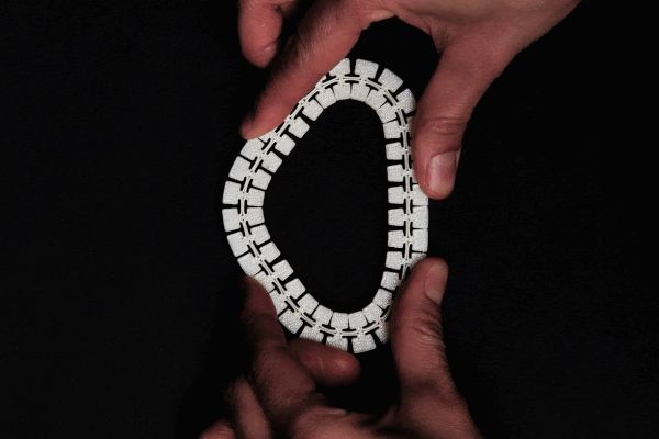 https://makerworld.bblmw.com/makerworld/model/USdd1cb9806e08f5/design/2024-02-02_9d96bbc697c8c8.gif