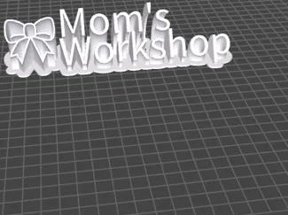 Moms workshop