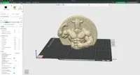 0.2mm layer, 2 walls, 8% infill
