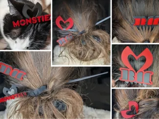 KPOP Inspired Hair Accessories: BAEMON & MONSTIEZ