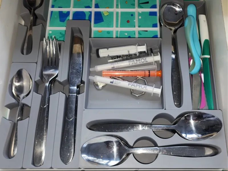 GridFinity Kitchen Organizer
