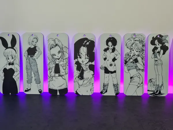 https://makerworld.bblmw.com/makerworld/model/USdd3253d0ee732d/design/2024-11-19_947c489e63f24.jpg