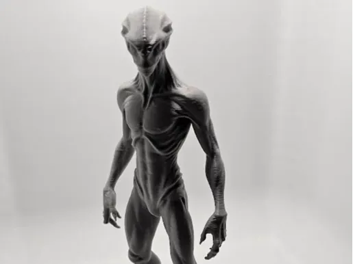 Roygume Alien Species