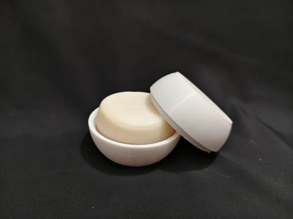 https://makerworld.bblmw.com/makerworld/model/USdd46e0c5bc70ae/design/b009a6a4020a9f46.jpg
