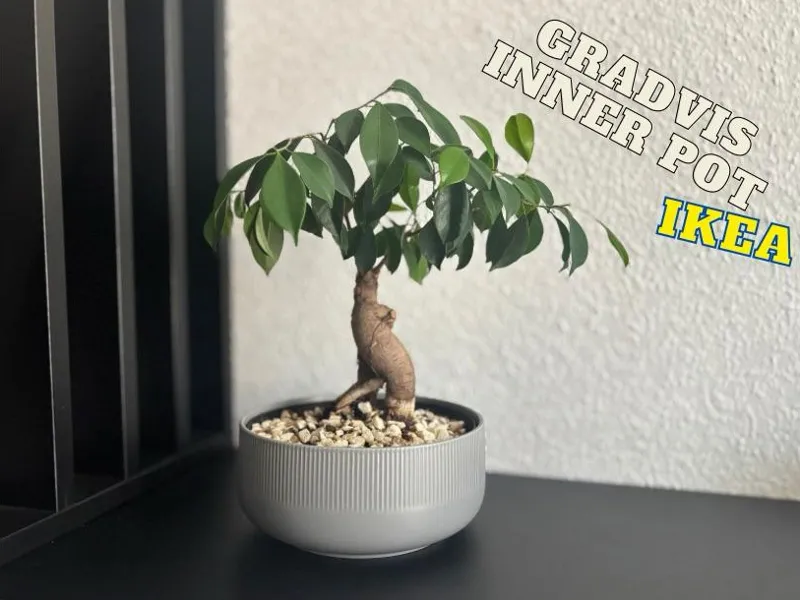Inner Pot for IKEA GRADVIS - Innentopf GRADVIS