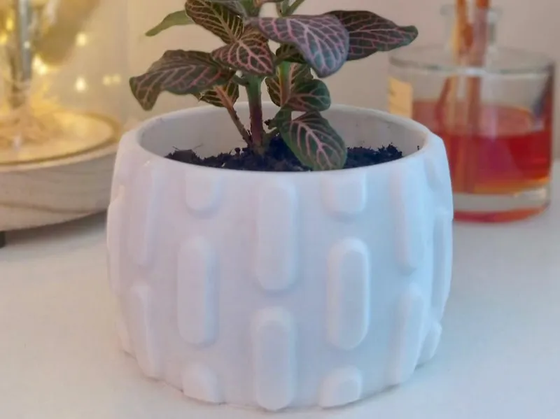 Small Planter - cactus style design
