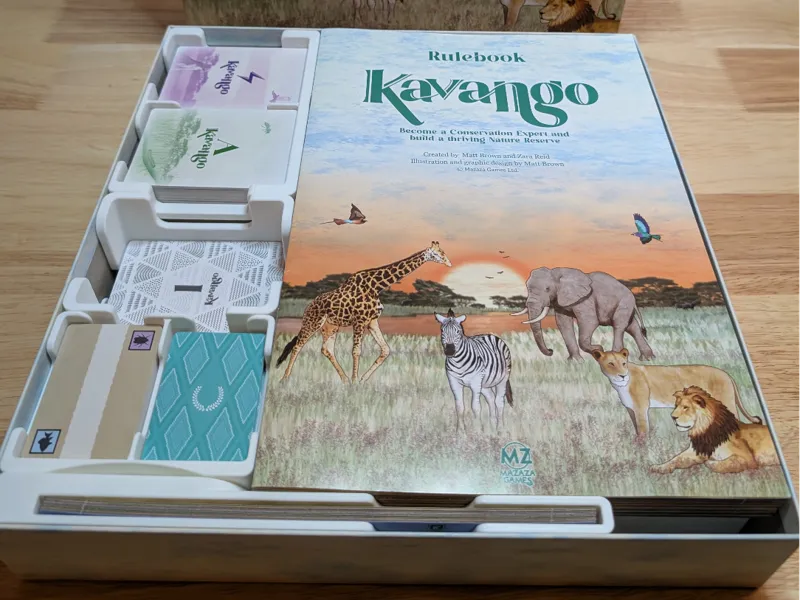 Kavango Box Organizer