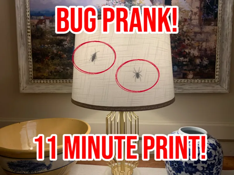 bug shadow prank