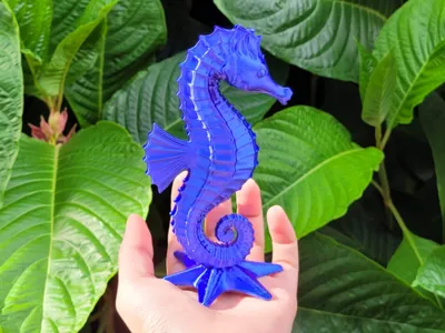 Seahorse / SeaHorse 