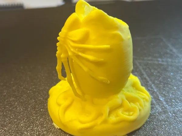 https://makerworld.bblmw.com/makerworld/model/USdd5641d11281fe/design/2025-05-07_3f20e272545f4.jpeg