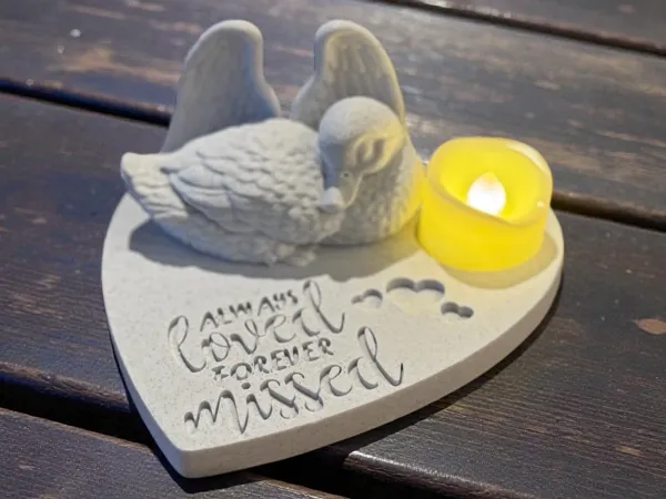 https://makerworld.bblmw.com/makerworld/model/USdd5fa258689fc8/design/2026-01-01_9a2e312d428ee8.jpg