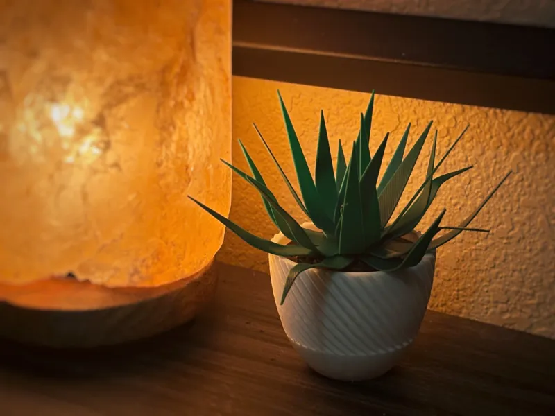 Modern Fake Aloe Vera Plant with Hidden Storage