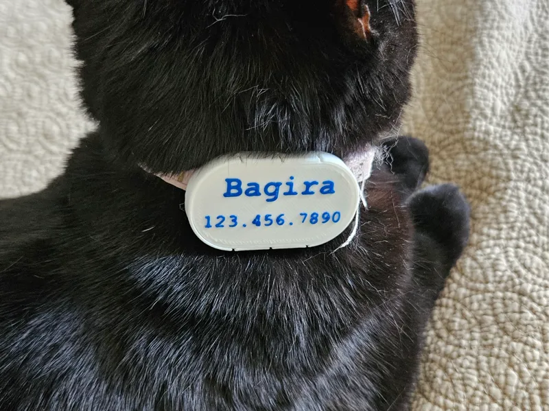 Galaxy Tag 2 Holder for a Cat Collar