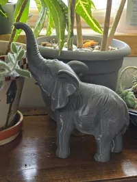 Elephant Plant Compainion