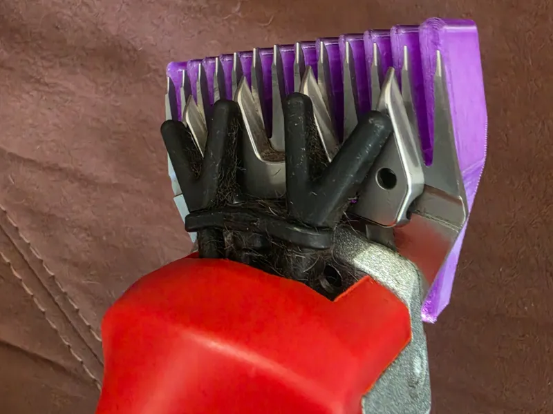 Sheep Shears blade guards