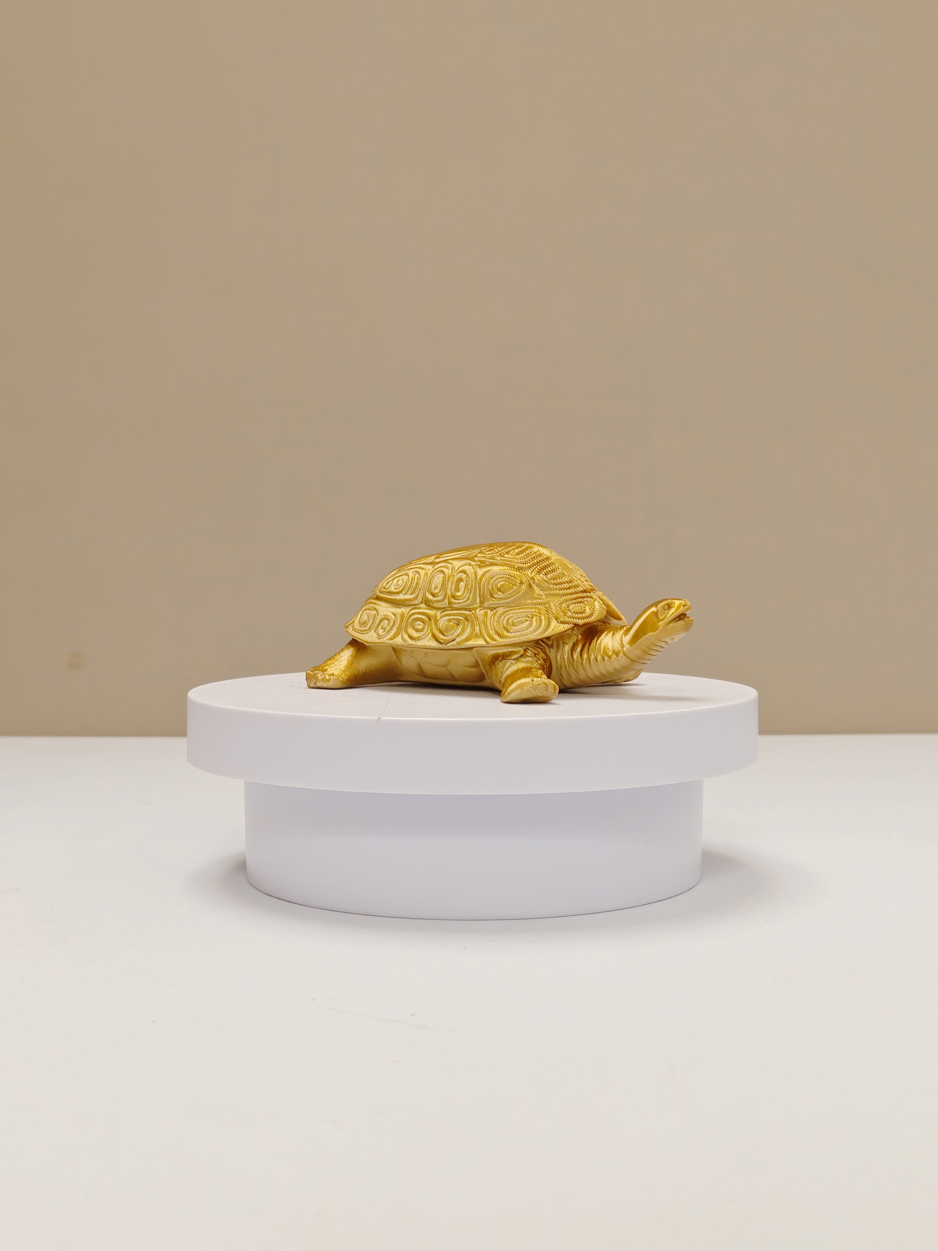 Miniatura 2 do modelo 3D 千年龟 （抓周、满月踩金龟道具 打印仅一小时）